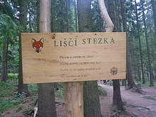 Za��tek Li��� stezky