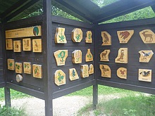 Flora a fauna Krkono�