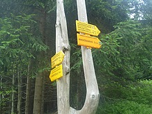 Na tomto rozcest� pojedeme vlevo