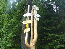 Z Krakono�ovy sn�dan� pokra�ujeme sm�rem na Voseckou boudu