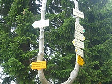 Pod Voseckou boudou se vyd�me po Janou�kov� cest� (Terex)