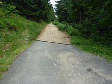 Fin�ln� stoup�n� ke dvora�k�m