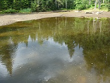 Rybn�k se zrovna napou�t�l vodou, jindy je velice p�kn�