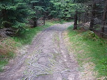 Po vstupu do Polska se kvalita stezky rapidn� zhor��