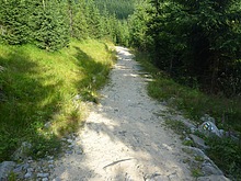 Cesta je nerovn� a kamenit�