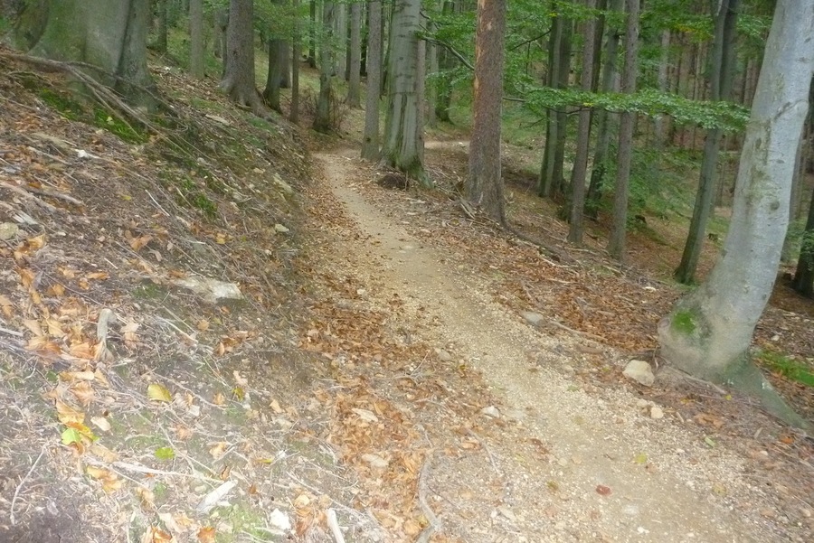 single track ski areál harrachov cyklotrasy ubytování webkamera