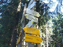 Rozcestn�k Studenov